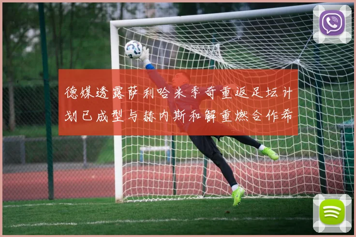 德媒透露萨利哈米季奇重返足坛计划已成型与赫内斯和解重燃合作希望